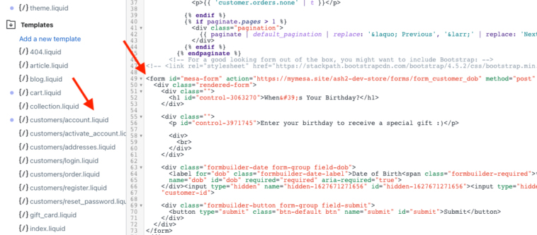 shopify theme