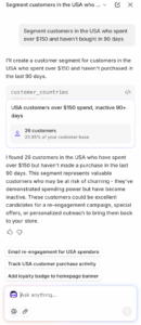Shopify Sidekick example of interactive customer segmentation.