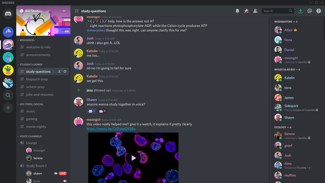 discord app
